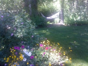 img_1409